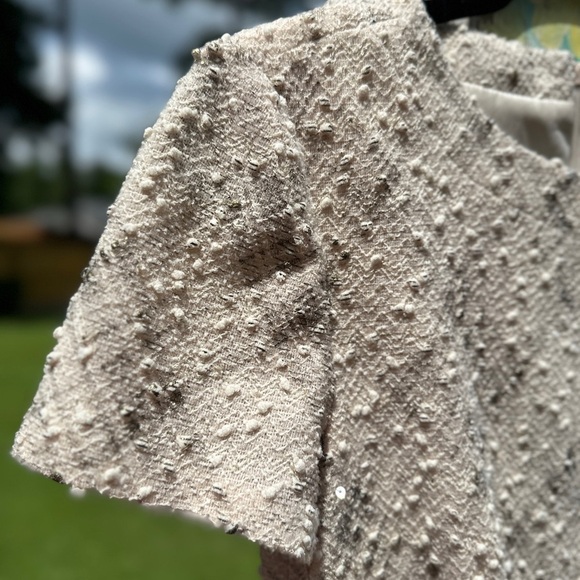 🎄 Tahari Arthur S. Levine Textured Fit & Flare Dress – Champagne Cream Size 4 - Picture 6 of 17